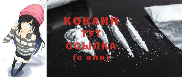 дживик Абинск