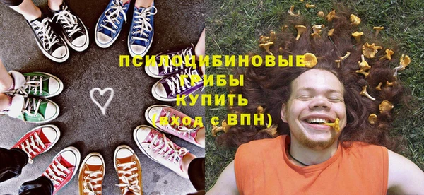 шишки Михайловка
