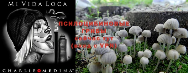 таблы Алексин